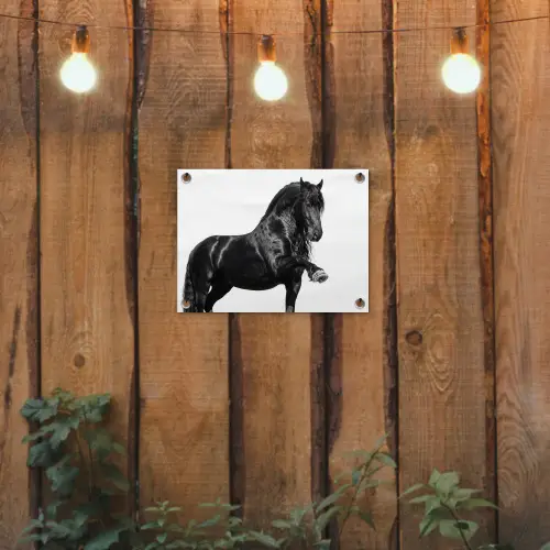 Fries - Hengst - Modern tuinposter los doek klein -sfeer1