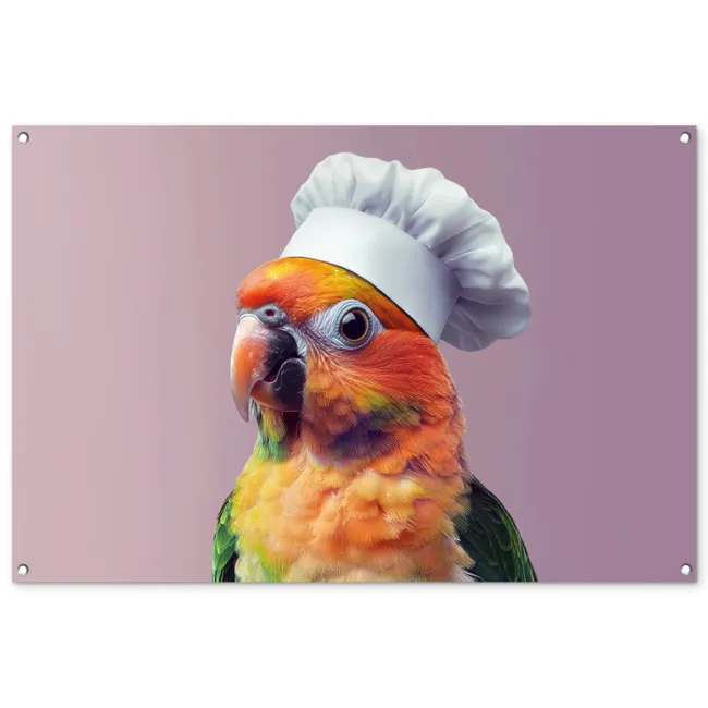 Tuinposter - Papegaai - Koksmuts - Nieuwsgierig - Vogel