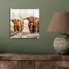 Schotse hooglander - Koe - Natuur - Winter plexiglas 5mm klein -sfeer3