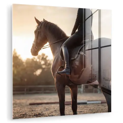Harmonie - Ruiter - Zon plexiglas 5mm klein -zzzproduct_nieuw