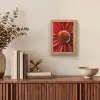 Close up - Bloem - Quote - Rood Light Box met kabel (Tafellamp) klein -sfeer2