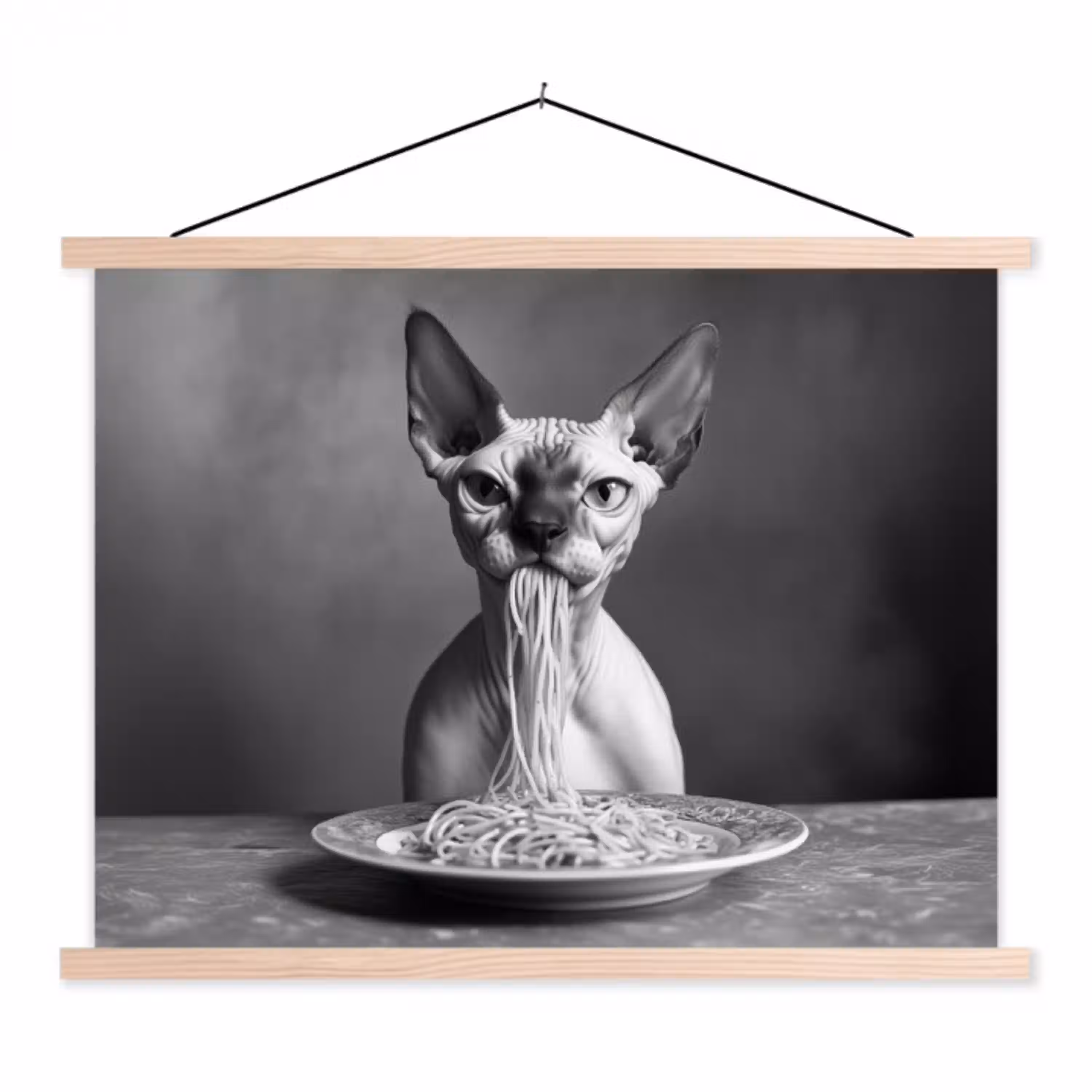 Sphynx - Kat - Dieren - Humor - Spaghetti - Zwart Wit textielposter latten blank klein -3d