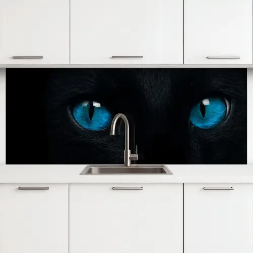 Kat - Blauw - Dier - Zwart keuken achterwand 2 middel -3d