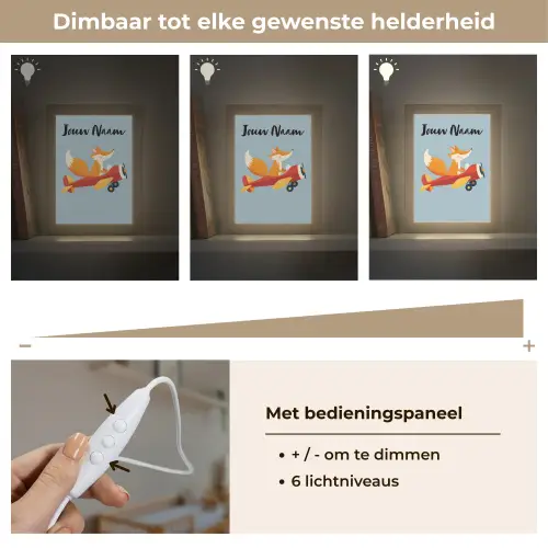 Vos - Vliegtuig - Blauw Light Box met kabel (Kinderlampje) klein -USP_dimbaarNL