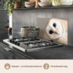 Uil - Bruin - Wit keuken achterwand spatscherm klein -usp_DE