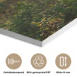Bos - Bomen - Pad - Zon - Planten - Bladeren - Natuur PET vilt klein -closeup_NL