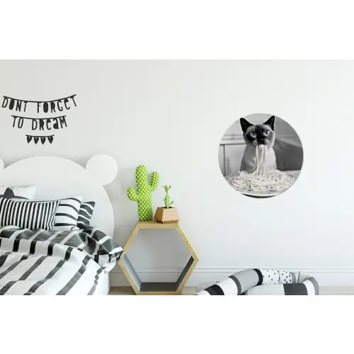 Kat - Siamees - Zwart Wit - Schattig - Dieren Wandcirkel aluminium klein -kinderkamer