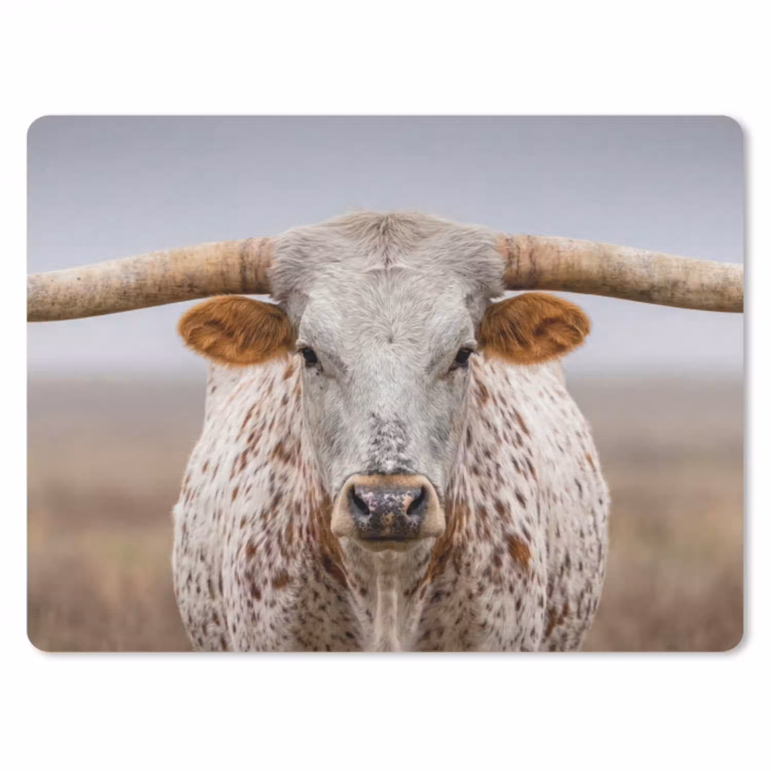 Longhorn - Grasveld - Dier muismat rubber klein -3d