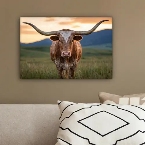 Longhorn - Landschap - Zonsondergang canvas 2cm klein -sfeer3