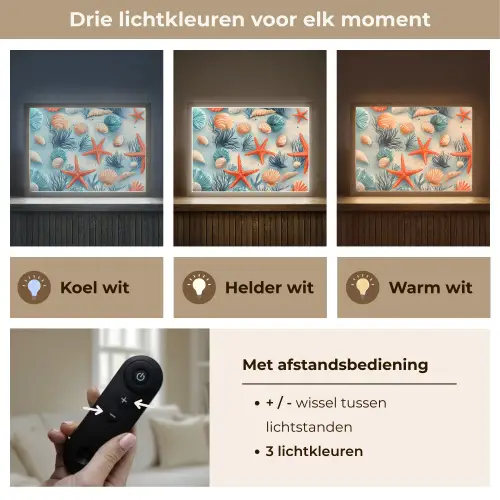 Zeesterren - Schelpen - Illustratie - Zand Light Box met batterij (Wandlamp) middel -USP_lichtkleurNL