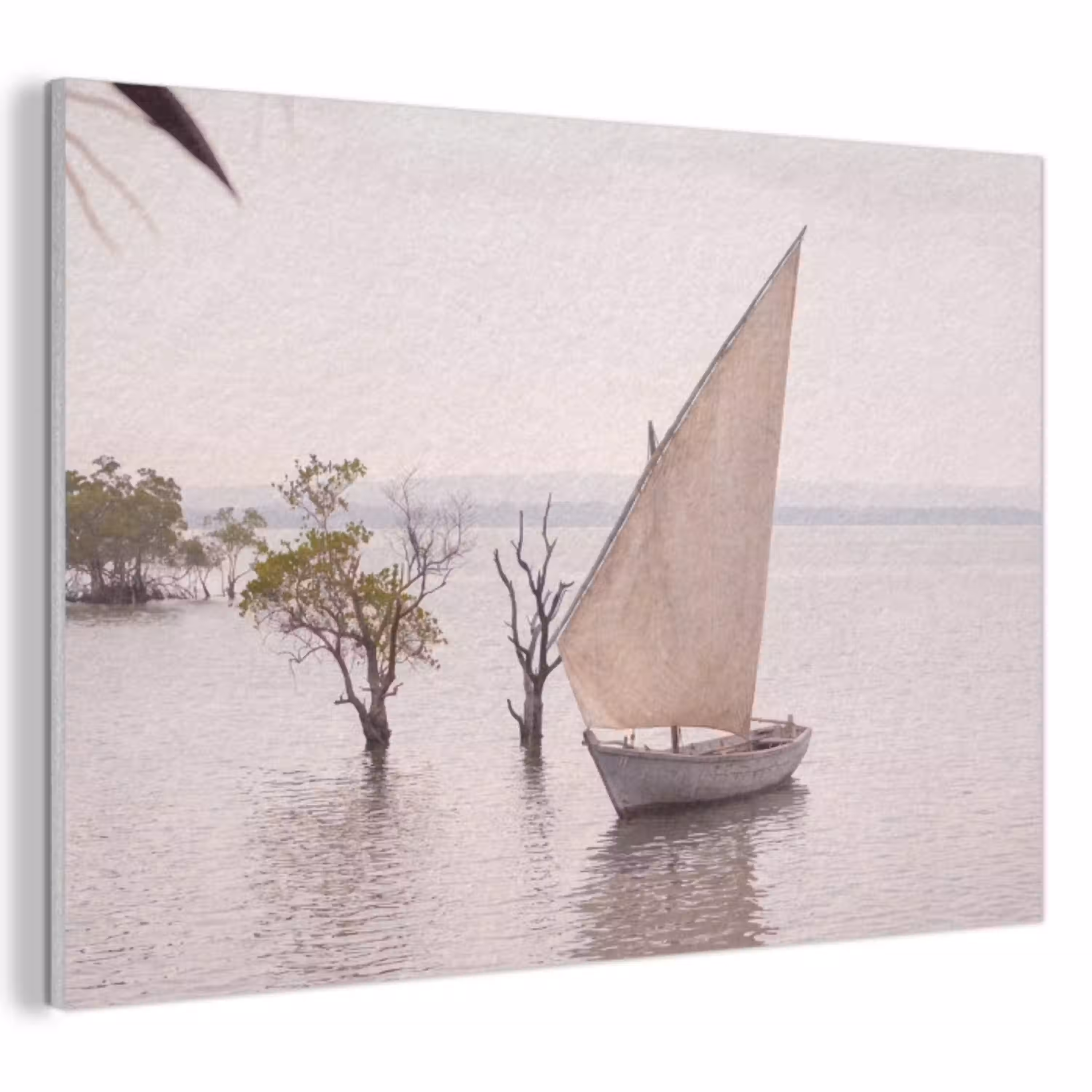 Boot - Zeil - Water - Tropisch - Natuur PET vilt klein -3d