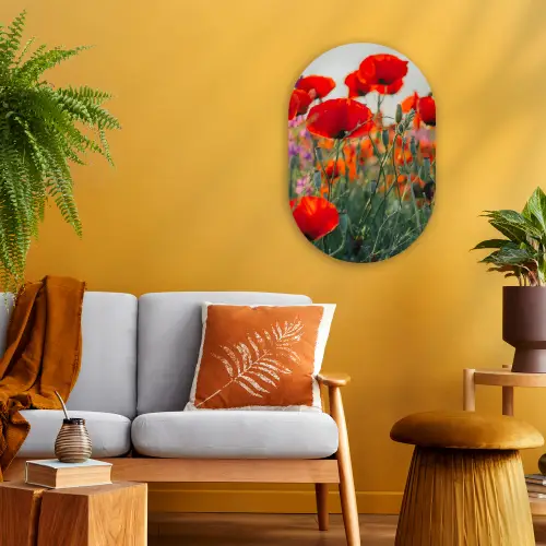 Klaproos - Bloemen - Wilde bloemen Wandcirkel Ovaal Forex klein -sfeer4