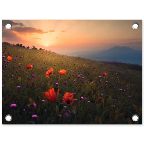 Bloemenveld - Gras - Bloemen - Planten - Zonsondergang - Oranje tuinposter los doek klein -3d