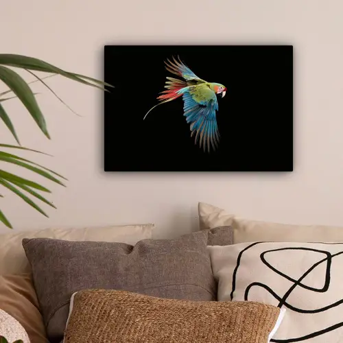Papegaai - Kleurrijk - Vleugels - Sierlijk canvas 2cm klein -sfeer1