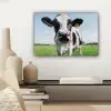 Koe - Weiland - Natuur - Dieren - Gras canvas 2cm klein -sfeer6