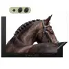 Portret - Paard - Elegant Inductie beschemer met haakjes klein -3d