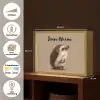 Egel - Snuitje - Bruin - Stekels Light Box met batterij (Wandlamp kind) middel -USP_websiteoverzichtNL