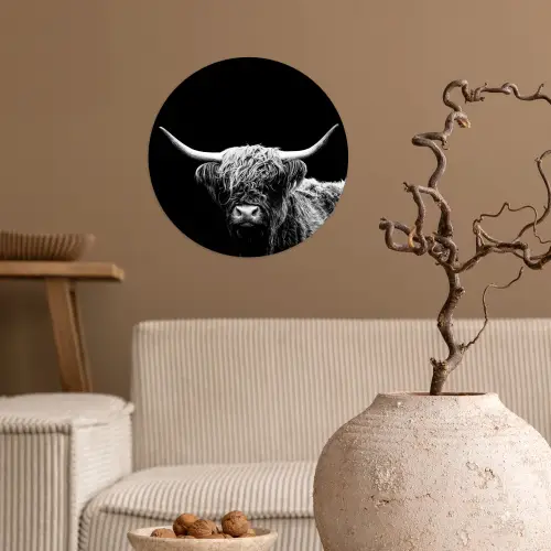Schotse Hooglander - Koe - Zwart - Wit - Dieren Wandcirkel behangsticker klein -sfeer1