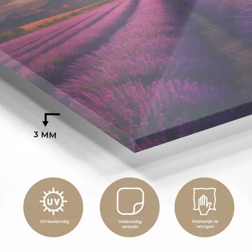 Lavendelveld - Zonsondergang - Paars plexiglas 5mm klein -sfeer2