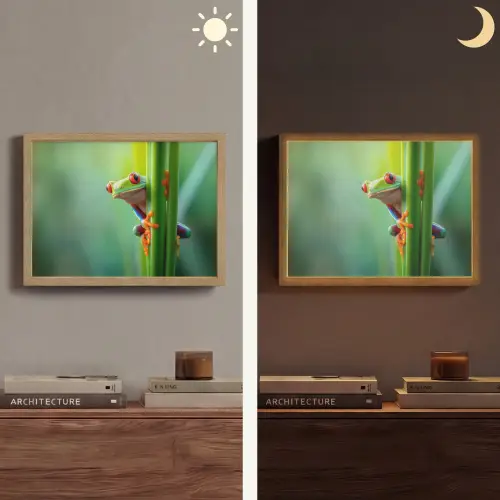 Groene kikker - Nieuwsgierig - Gras Light Box met batterij (Wandlamp) middel -sfeer3