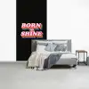 Quote - Regenboog - Roze - Zwart fotobehang vinyl groot -slaapkamer