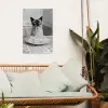 Kat - Siamees - Zwart Wit - Schattig - Dieren tuinposter los doek klein -sfeer7