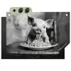 Varken - Schattig - Spaghetti - Zwart wit - Dier Inductie beschemer met haakjes klein -3d