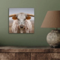 Longhorn - Grasveld - Dier aluminium wit klein -sfeer2