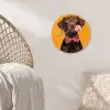 Hond - Oranje - Roos - Valentijn Wandcirkel plexiglas klein -sfeer5