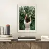 Boom - Appels - Plukken - Natuur aluminium wit klein -sfeer1
