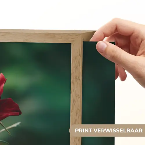 Roos - Bladeren - Dieprood Light Box met batterij (Wandlamp) middel -USP_websiteprintNL