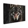 Dieren - Wolf - Portret - Zwart - Bruin canvas 2cm klein -z3d
