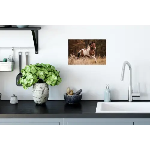 Paard - Bruin - Gras Muursticker klein -keuken