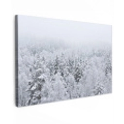 Bos - Sneeuw - Winter - Natuur - Wit canvas 2cm klein -z3d