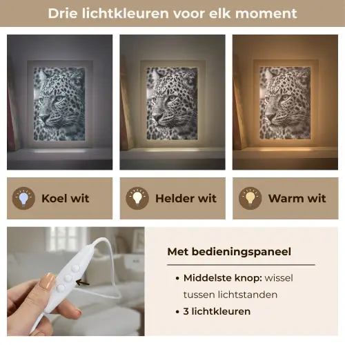 Luipaard - Zwart - Wit - Oog Light Box met kabel (Tafellamp) klein -USP_lichtkleurNL