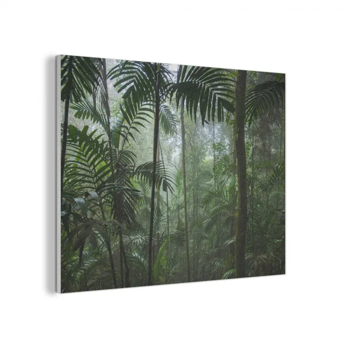Regenwoud - Tropisch - Jungle - Bomen - Planten PET vilt klein -3d