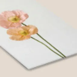 Papavers - Botanisch - Roze fotolijst zwart zonder passe partout klein -zsfeer6