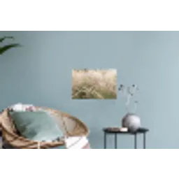 Gras - Close up - Groen Muursticker klein -plant