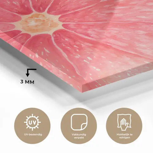 Grapefruit - Roze - Levendig plexiglas 5mm klein -sfeer2