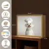 Hond - Wit - Kok Light Box met batterij (Wandlamp) middel -USP_websiteoverzichtNL