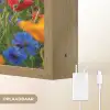 Bloemen - Klaprozen - Kleurrijk - Natuur Light Box met batterij (Wandlamp) middel -USP_websiteoplaadbaarNL