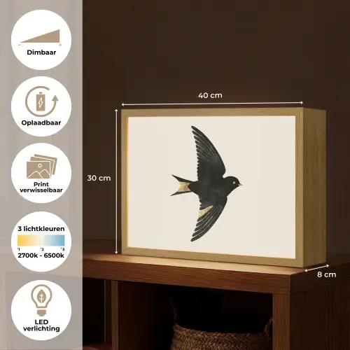 Zwarte zwaluw - Gouden accenten - Lichte achtergrond Light Box met batterij (Wandlamp) middel -USP_websiteoverzichtNL
