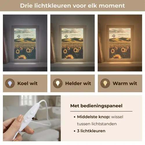 Zonnebloem - Veld - Windmolen Light Box met kabel (Tafellamp) klein -USP_lichtkleurNL