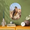 Valk - Vogel - Rots - Macht Wandcirkel Ovaal Forex klein -sfeer2