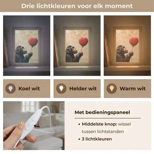 Street art - Chimpansee - Ballon - Graffiti - Banksy Style Light Box met kabel (Tafellamp) klein -USP_lichtkleurNL