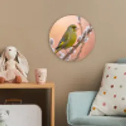 Groenling - Katjes - Lente - Natuur - Zacht Wandcirkel kunststof plaat 5mm dik klein -tsfeer1_kind