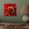 Close up - Bloem - Quote - Rood aluminium wit klein -sfeer2