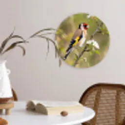 Putter - Bloesem - Lente - Natuur - Kleurrijk Wandcirkel kunststof plaat 5mm dik klein -sfeer4