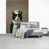 Kat - Kokskleding - Zwart - Wit fotobehang vinyl groot -slaapkamer