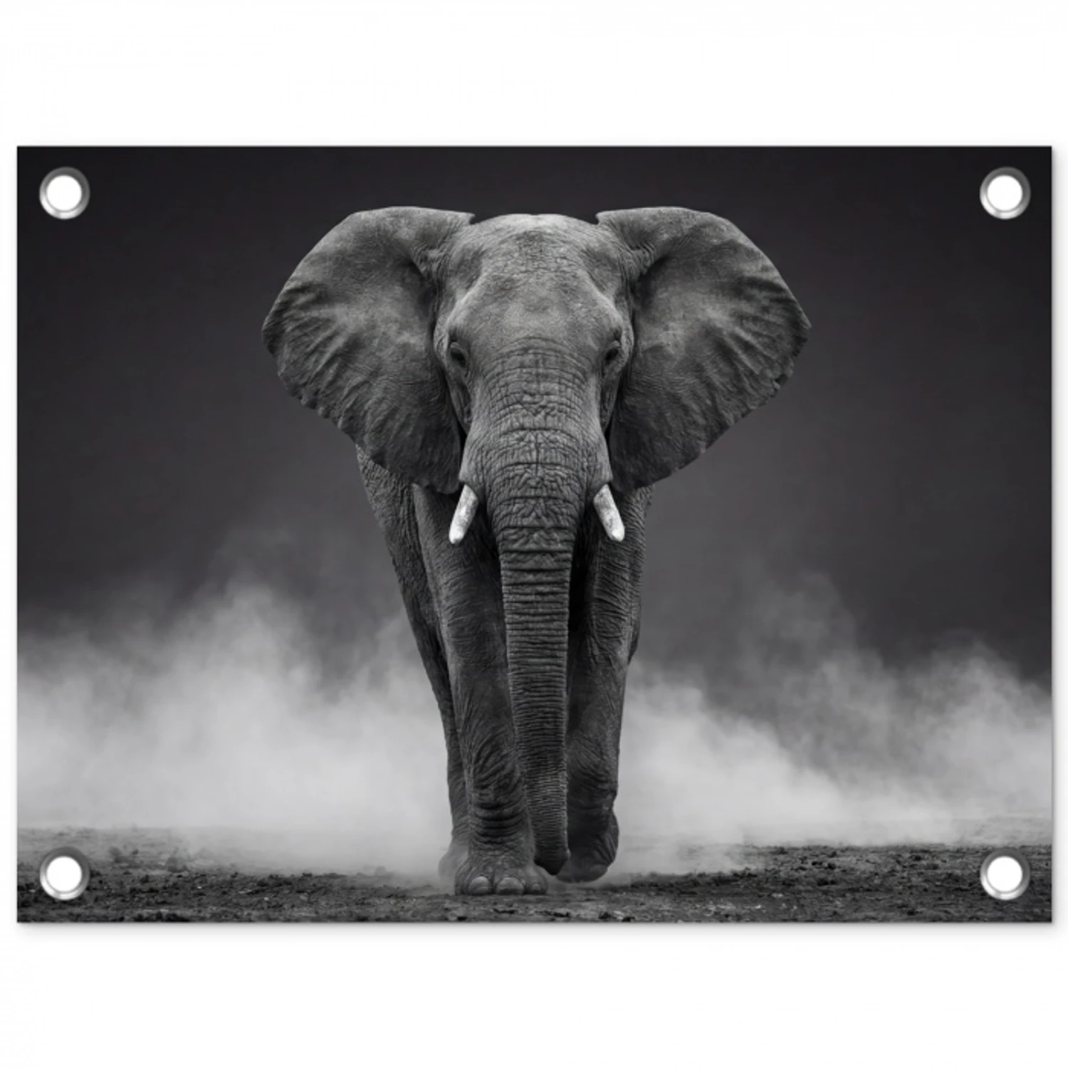 Olifant - Zwart - Wit - Rook tuinposter los doek klein -3d